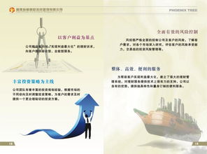 福建省梧桐樹投資管理圖冊 洞悉資產(chǎn)管理的專業(yè)藍(lán)圖